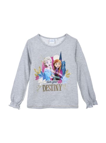 Disney Frozen Longsleeve Langarmshirt Anna und Elsa in Grau