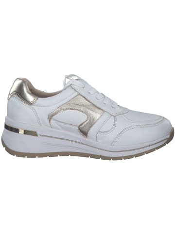 Caprice Schnürschuhe in WHITE/LIGHT GOLD