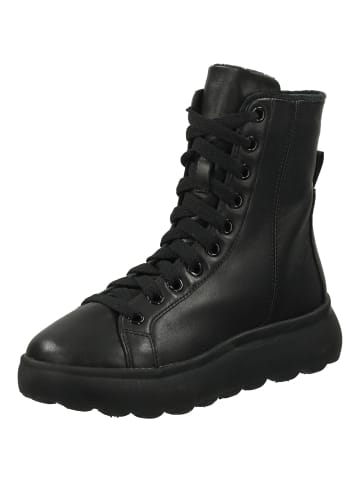 Geox Stiefelette in Schwarz