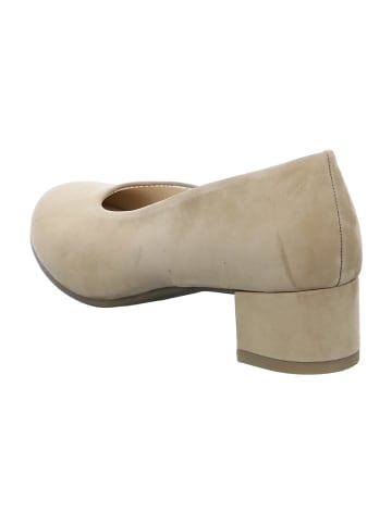 ara Flache Pumps in Beige