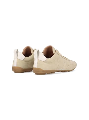 SALAMANDER Sneaker in beige