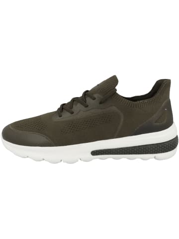 Geox Sneaker low U Spherica Actif A in gruen