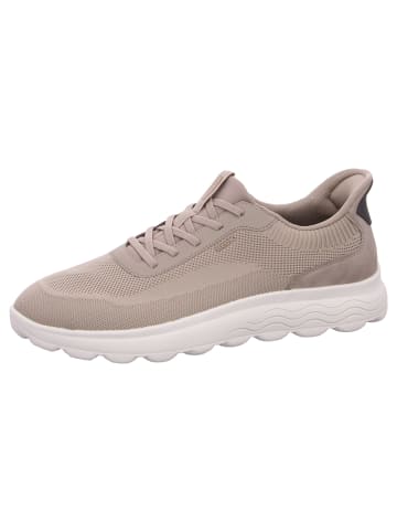 Geox Sneaker Spherica Plus in Beige