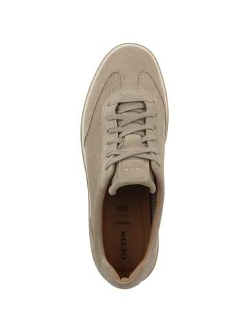 Geox Sneaker low U Spherica Actif X 4 in beige
