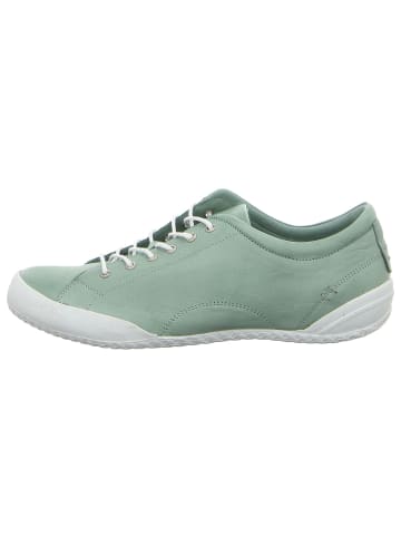 Andrea Conti SHOES Schnürschuhe in peppermint