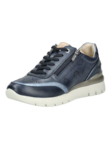 Pikolinos Sneaker in Blau