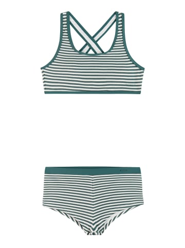 Protest " PRTNinja JR in Laurelgreen