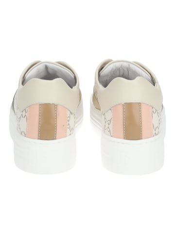 Nero Giardini Sneaker in Beige/Gold