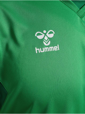 Hummel Hummel T-Shirt Hmlauthentic Multisport Herren Atmungsaktiv Schnelltrocknend in JELLY BEAN