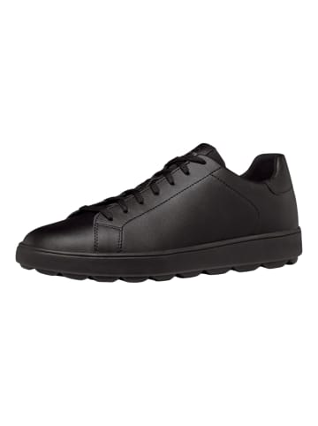 Geox Sneaker Schwarz/Schwarz