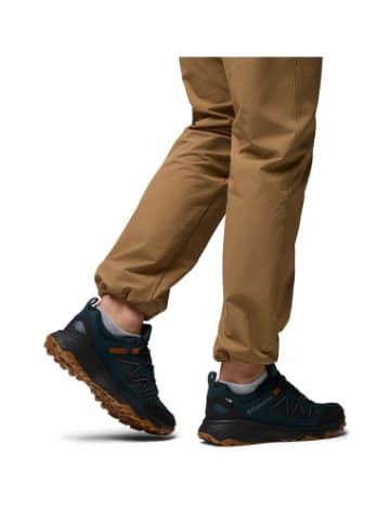 Columbia trekking Peakfreak in bunt