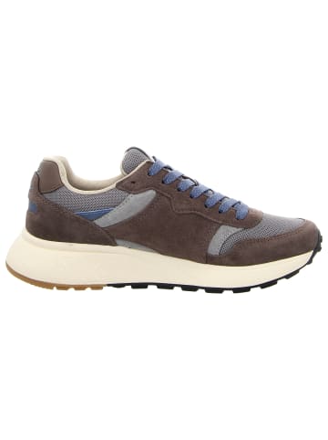 Sun68 Sneaker Low in braun