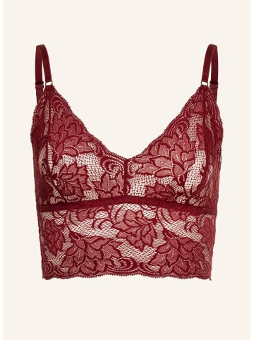 Erlich Textil  Spitzen Bustier OPHELIA in weinrot