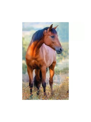 Wisam® Pferd Brown Handtuch Gesichtstuch, Handtuch 30x50cm