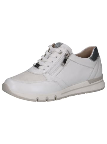 Caprice Sneaker in WHITE/SILVER