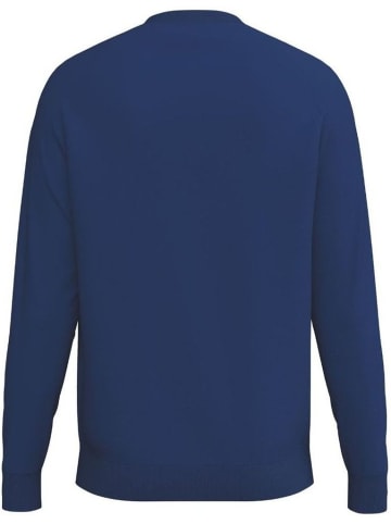erima Kinder Sweatshirt "Cmpt Wings Sweatshirt" in Blau