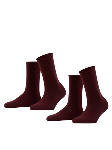 Falke Socken 2er Pack in Dunkelrot