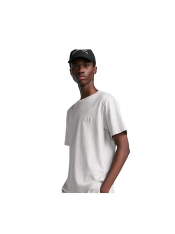 Dior Icon T Shirt Grau
