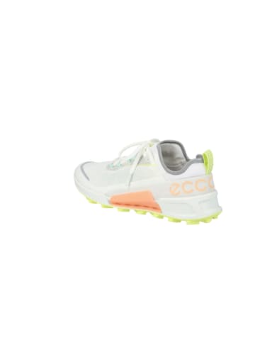 Ecco Sneaker Biom 2.1 X Country W in white/shadow white