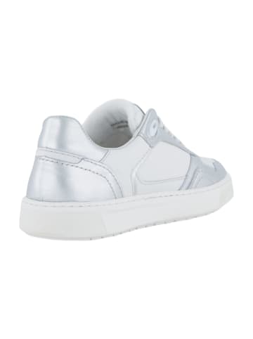 Sioux Sneaker Low in Silber