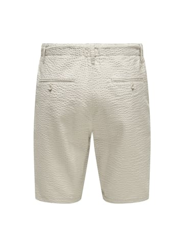 Only&Sons Short in Silver Lining