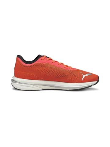 Puma Sneaker in Orange