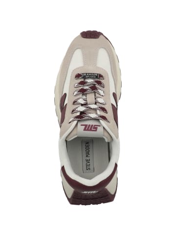 Steve Madden Sneaker low Supercampo in bordeaux