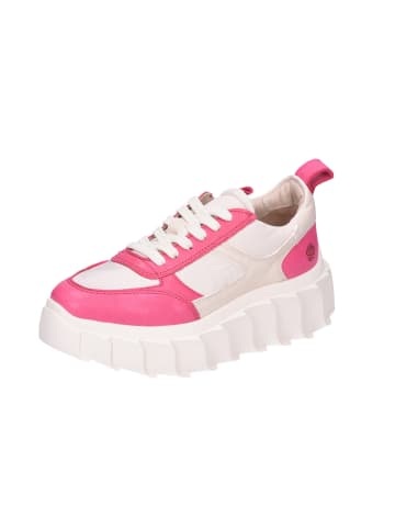 Apple of Eden Schnürschuhe in violett