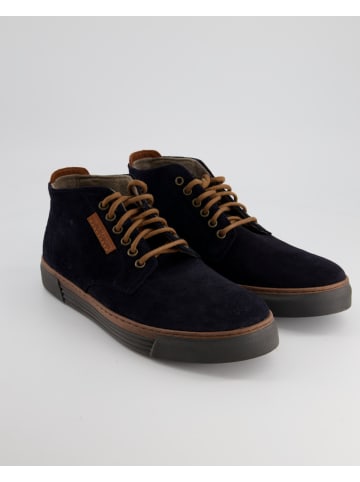 Pius Gabor Sneaker low in Blau