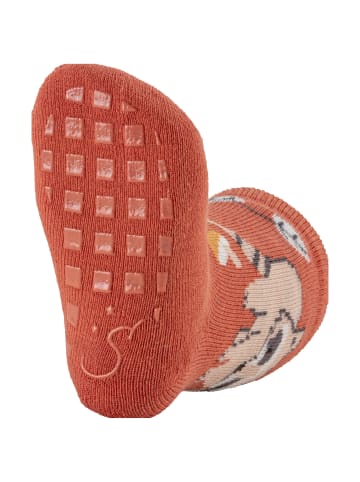 Sterntaler ABS Socken 2er-Pack Waschbär in mittleres braun
