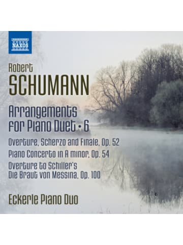 NAXOS Deutschland Musik - Arrangements for Piano Duet Vol.6