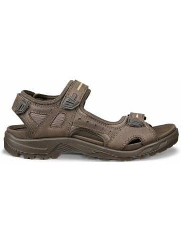 Ecco Outdoorsandalen für Herren in dunkel-braun