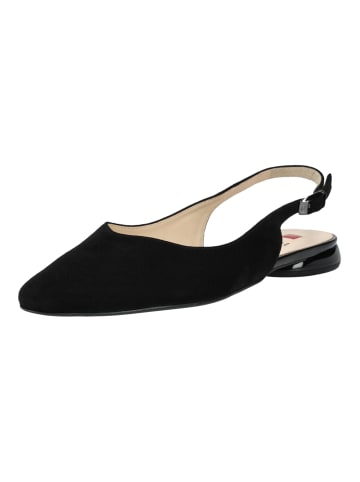 Högl Ballerinas in Schwarz/Schwarz