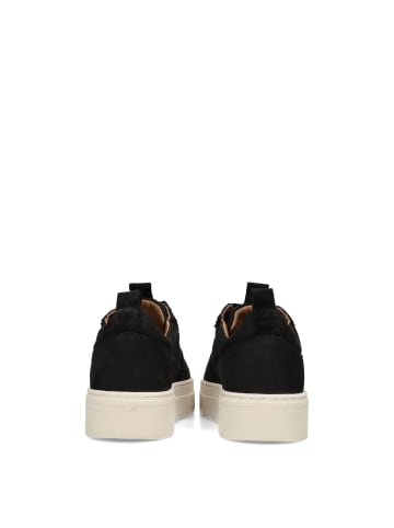 POELMAN Poelman IVAR Herren Sneaker