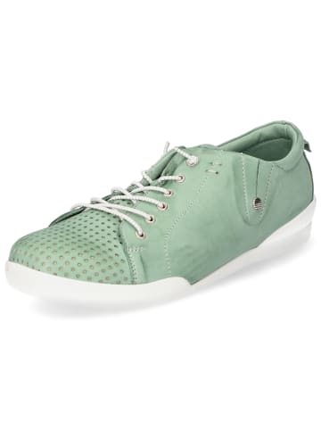 Andrea Conti Schnürhalbschuh in grün