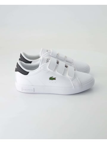 Lacoste Sneaker in Weiß