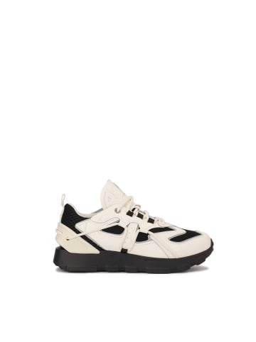 Kazar Studio Sneaker Low in Beige