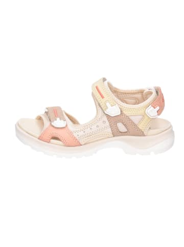 Ecco Schnürschuh in bunt