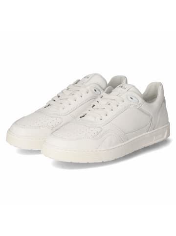 Sioux Low Sneaker TEDROSO in weiß