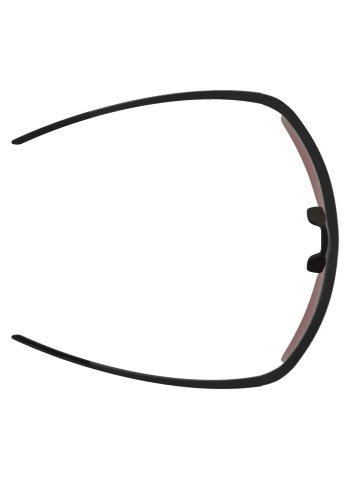 Alpina Sonnenbrille Eagle Q-Lite in schwarz