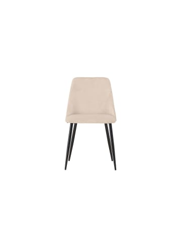 ebuy24 Esszimmerstuhl Night Beige 2er Set