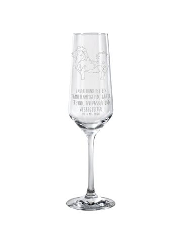 Mr. & Mrs. Panda Sektglas Hund Australien Shepherd mit Spruch in Transparent
