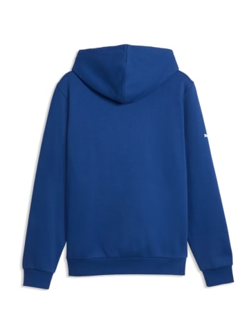 BMW MMS ESS+ Fleece Hoodie Pullover in blau