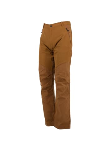 Jack Wolfskin Cargohose Drake Flex in Braun