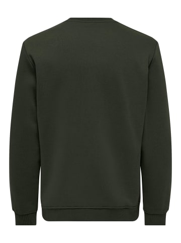 ONLY & SONS Sweatshirt in Rosin 1