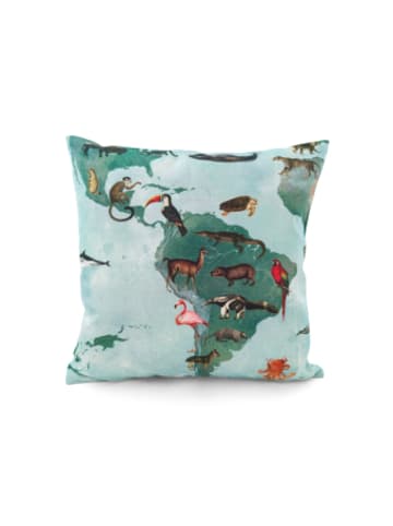 Plückefinken Nonbook - Kuschelkissen - Weltkarte Tiere