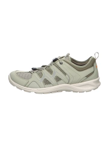 Ecco Sportliche Schnürschuhe in Grau