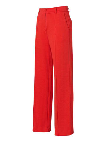 Mart Visser Celia Broek Coral