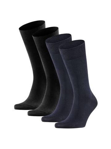 Falke Socken 4er Pack in Schwarz/Schwarzblau