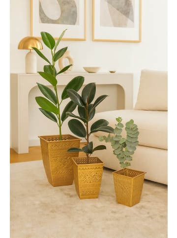 möbel-direkt Blumentopf-Set 3tlg. Hannes in goldfarben
